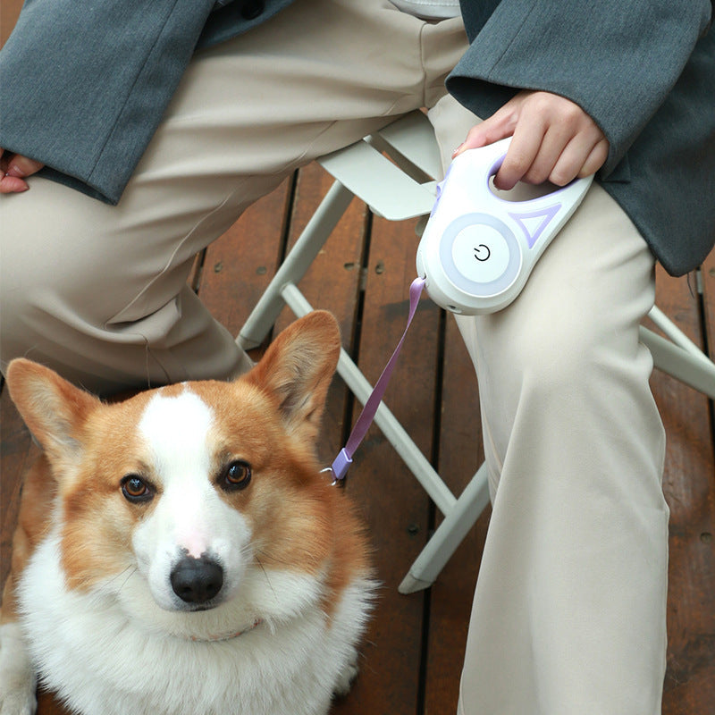 Person holding the best LED leash for walking dogs at night with a corgi sitting nearby