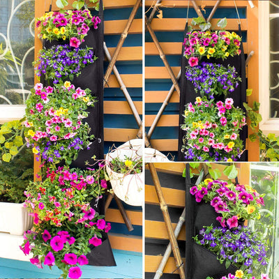 Black vertical garden wall planter with colorful blooming flowers hanging on wooden trellis outdoors