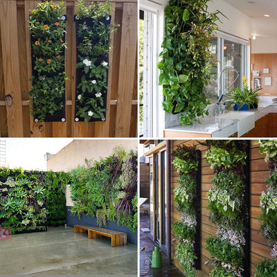 Various setups of vertical garden wall planter displaying lush green plants indoors and outdoors