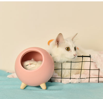 Cat Night Lamp